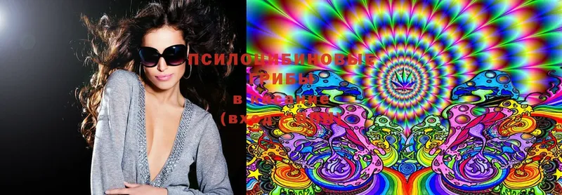 Псилоцибиновые грибы Cubensis  Новая Ляля 